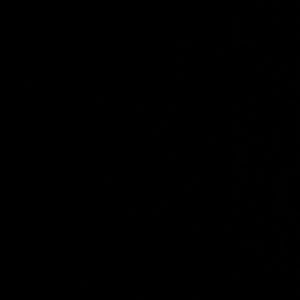 Meet your Posher, Savannah